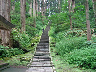 表参道杉並木