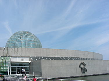 水族館一階