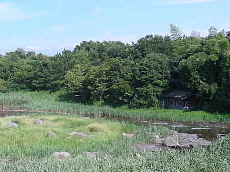 ウオッチングセンターから見た下の池の観察小屋