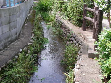 道が続きます。