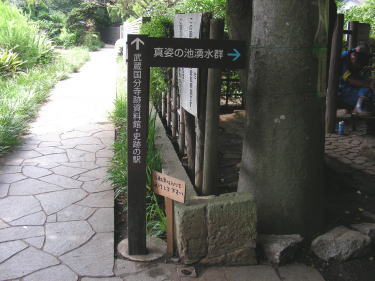 真姿の池への分岐