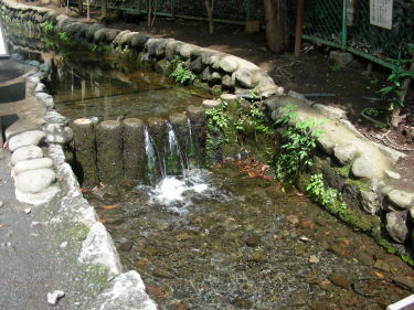 右手が湧水源