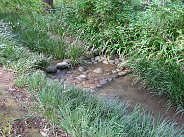 姿見の池湧水