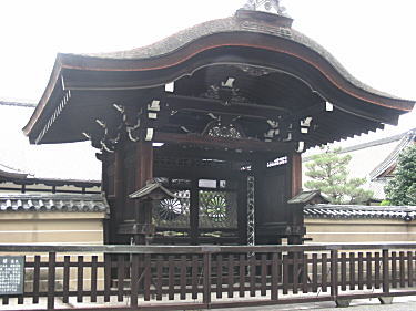 qV