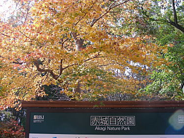 �ԏ鎩�R������