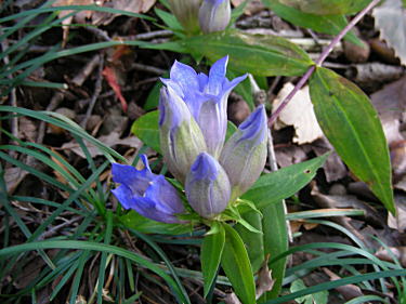 �����h�E