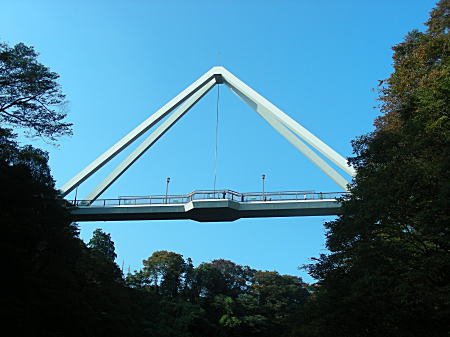 はねたき橋3