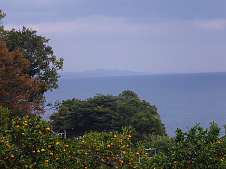 海と蜜柑