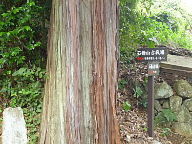 古戦場跡への分岐