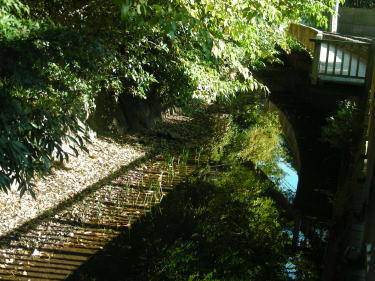 丸子川