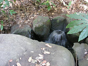 水の出口