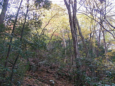 急な坂だけど、短い