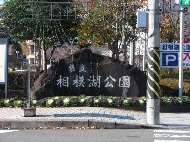 相模湖公園