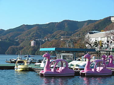 綺麗な紅葉です。