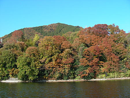 湖からの紅葉