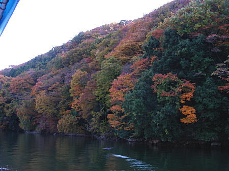 湖からの紅葉2