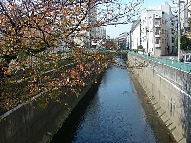 妙正寺川