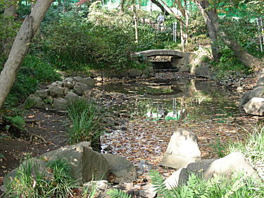 中の池