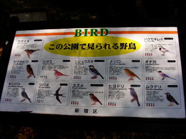 野鳥の種類