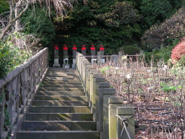 右側に牡丹が植えられています