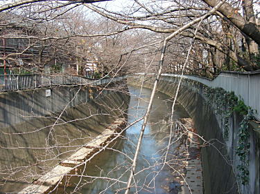 小滝橋の神田川