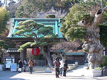 長谷寺