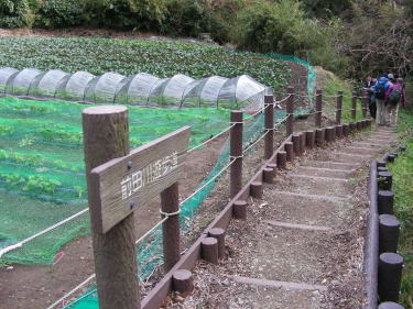 前田川遊歩道を行きます。