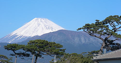 千本松原越しに富士山