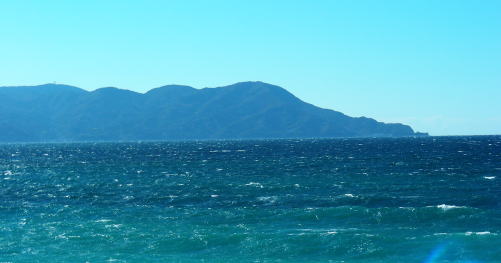 海側からは伊豆半島