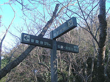 分岐