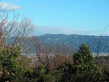 沼津市?
