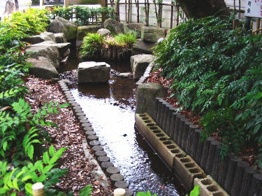 舎人氷川神社境内1