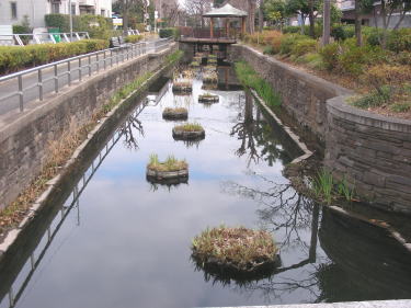見沼代親水公園1