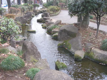 見沼代親水公園3