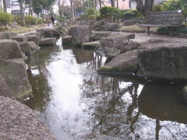 見沼代親水公園4
