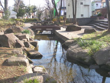 見沼代親水公園5