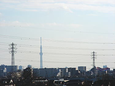 スカイツリーが見えます