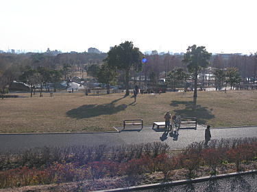 公園を見降ろします。