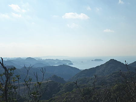 東京湾が見えてきました