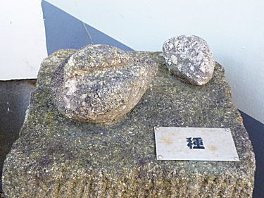 房州石を使ったオブジェ