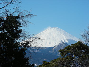 富士山が見えます