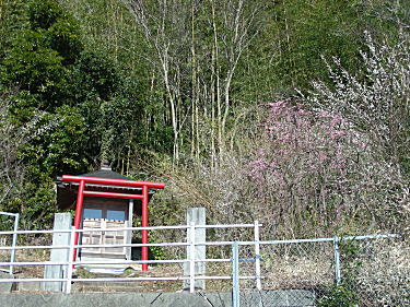 山神社