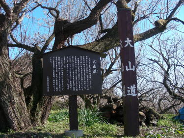 大山への参詣道