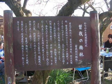 曽我梅林説明図
