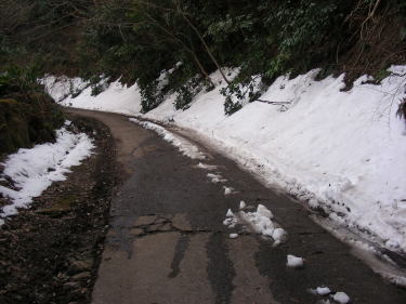 雪が残っている道