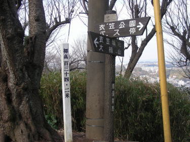 衣笠山の山頂?134.2m