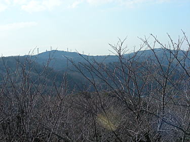 大楠山(左)を望む