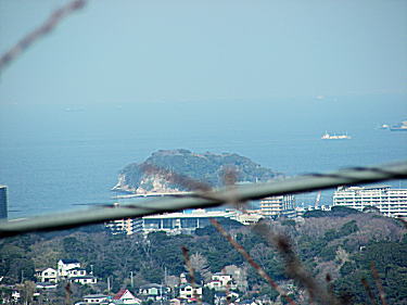 横須賀沖の猿島