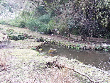 若芽遊水地