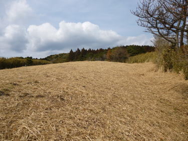 笹の広場